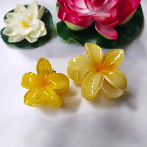 Floral Claw Clip (Set of 2)